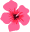 ◆