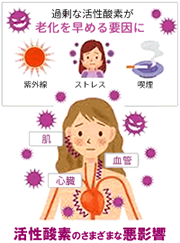 活性酸素ってなに？